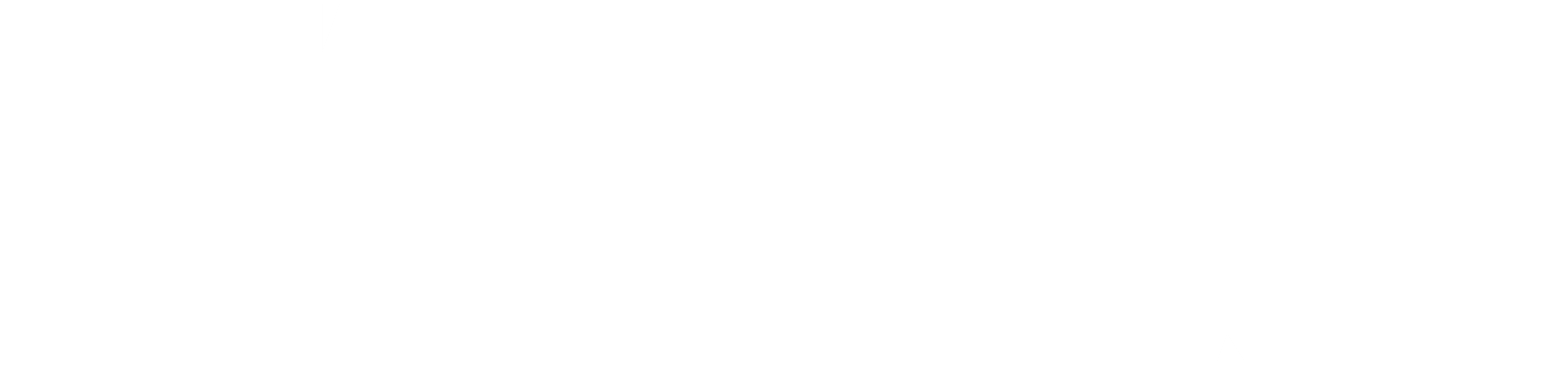 Vutra Holdings